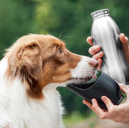 KiK podrozna butelka dla psa na wode pojemnosc 650 ml cena 1999